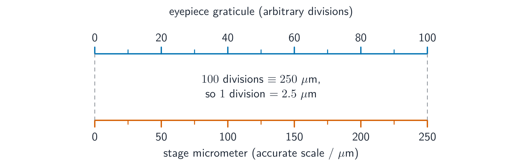 Two scales lined up: an eyepiece graticule marked 0 to 100 above a stage micrometer marked in micrometres below, with the calibration worked out