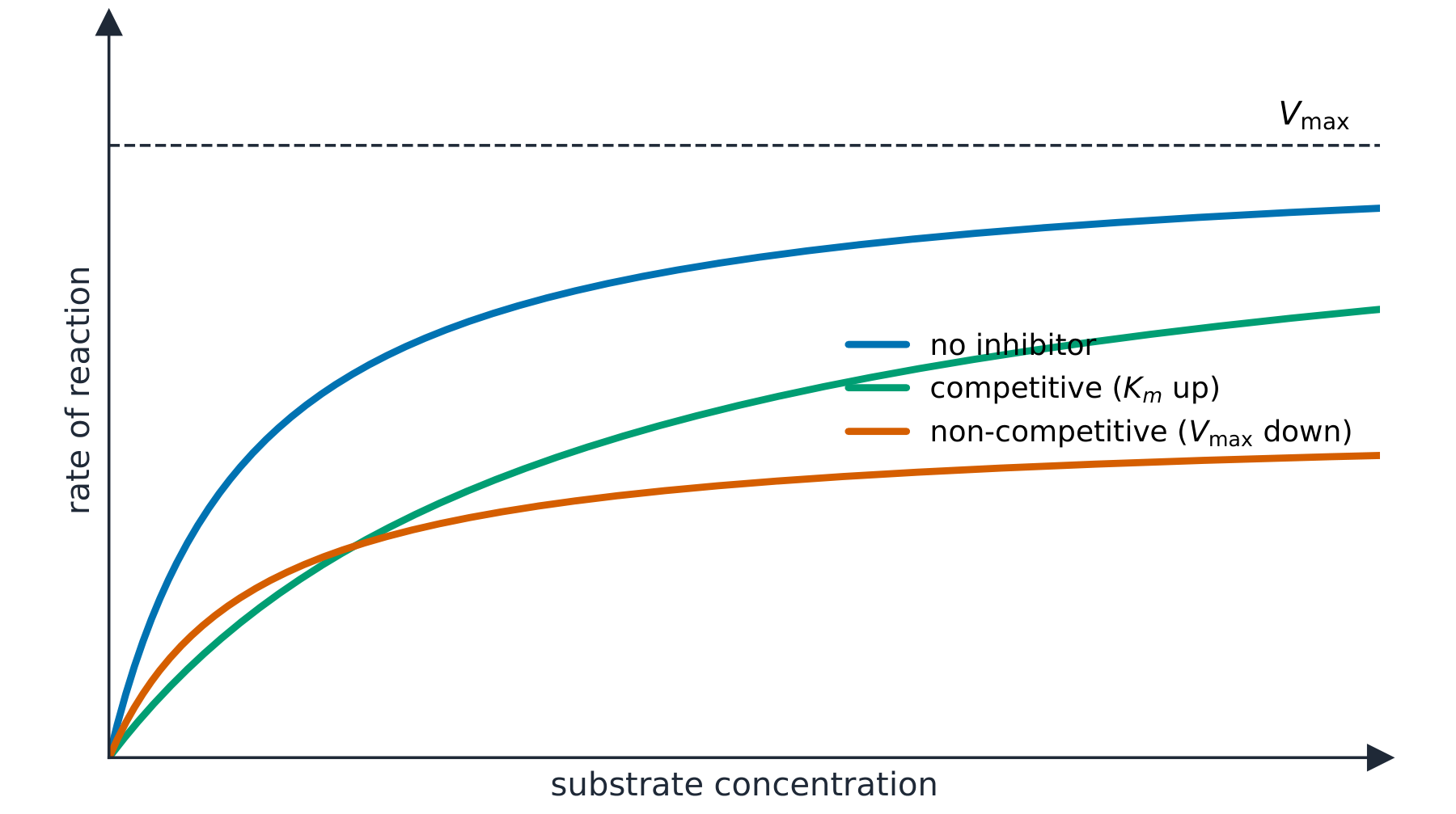 Three rate curves against substrate concentration: no inhibitor reaches Vmax; competitive reaches the same Vmax more slowly; non-competitive plateaus at a lower Vmax