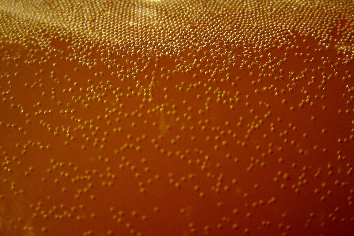 Frothy, actively fermenting yeast giving off carbon dioxide
