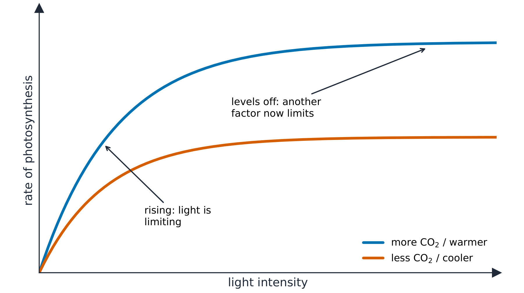 Two curves of photosynthesis rate against light intensity that rise and then level off, the higher one with more carbon dioxide or a warmer temperature