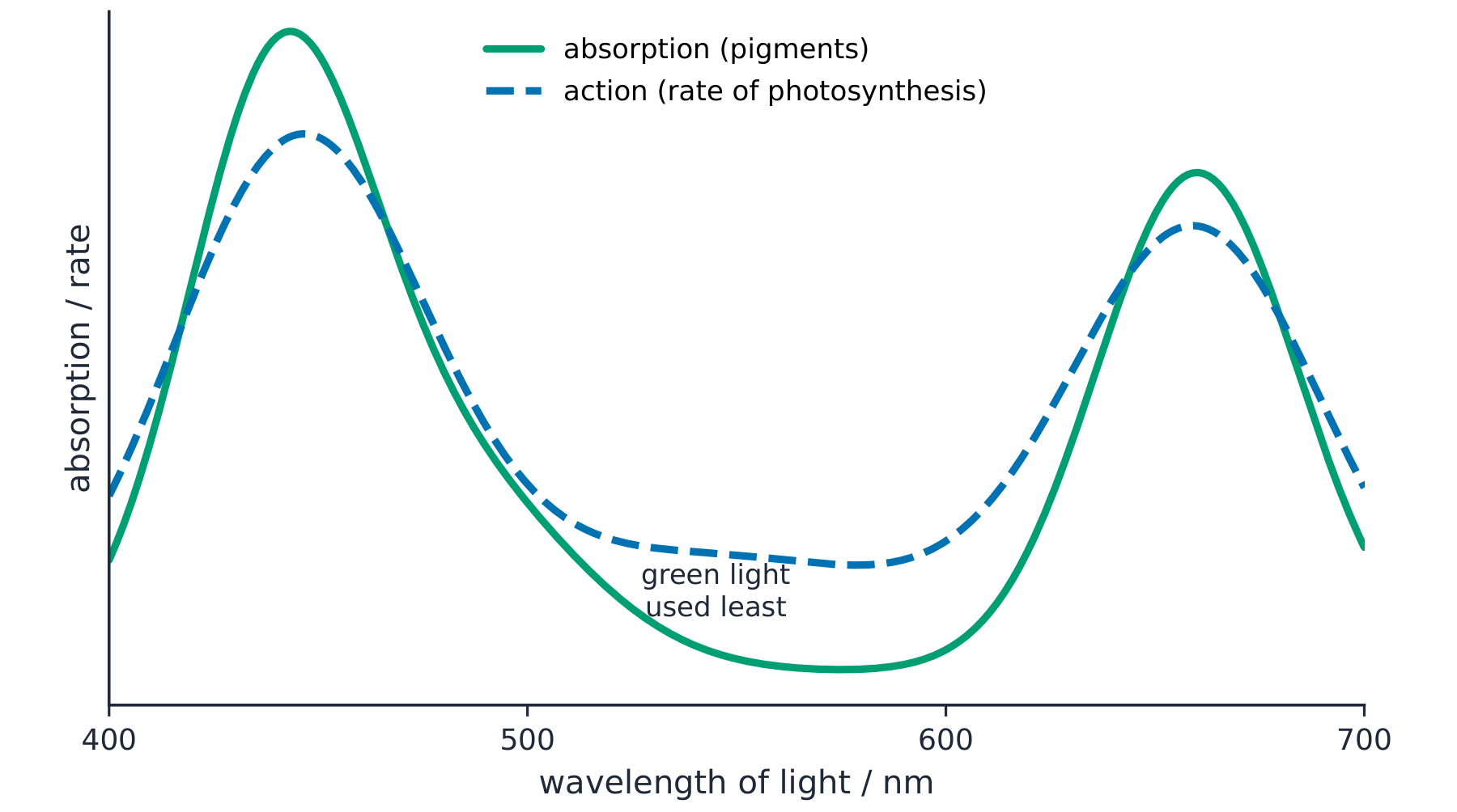Two overlapping curves against wavelength: the absorption spectrum of the pigments and the action spectrum of photosynthesis, both high in blue and red light and low in green