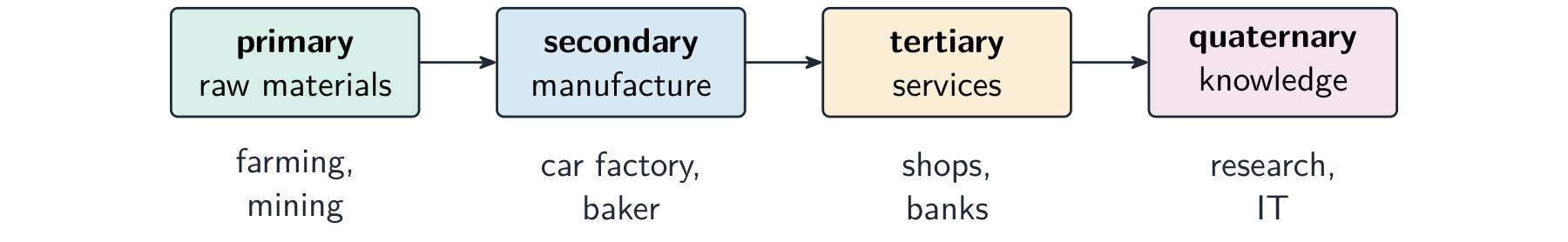 Four boxes in a row — primary, secondary, tertiary, quaternary — linked by arrows, with an example under each