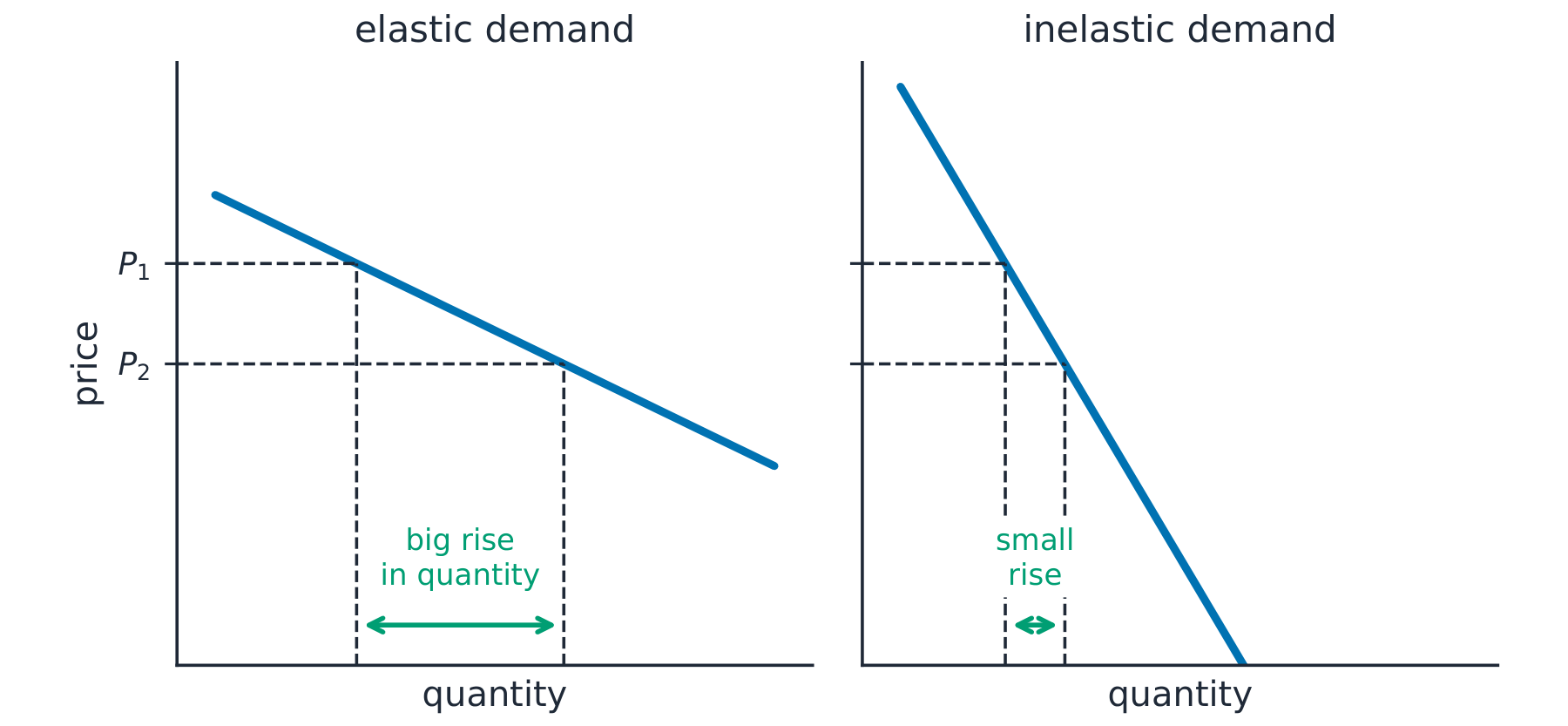 Two demand curves: a shallow elastic curve where a price fall gives a big quantity rise, and a steep inelastic curve where the same price fall gives only a small rise