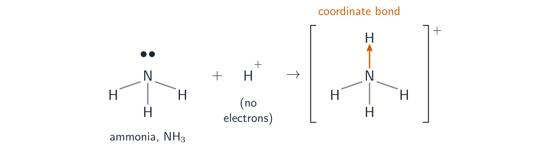 Ammonia's lone pair forming a new bond to an incoming hydrogen ion, shown as an arrow, to make the ammonium ion in brackets with a plus charge