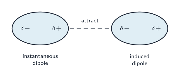 Two molecules side by side: a brief instantaneous dipole in one induces a matching dipole in its neighbour, so the two attract