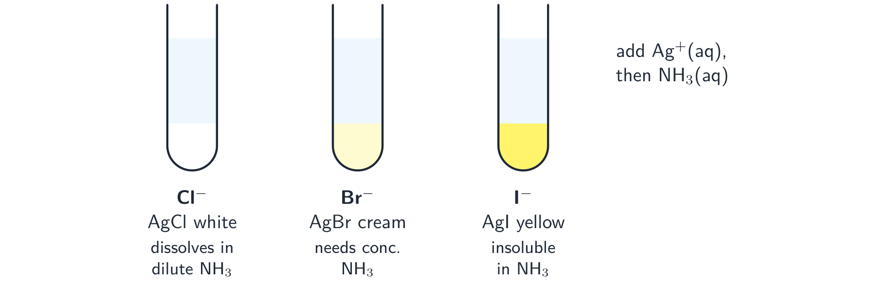 Three test tubes with silver halide precipitates: white silver chloride, cream silver bromide and yellow silver iodide