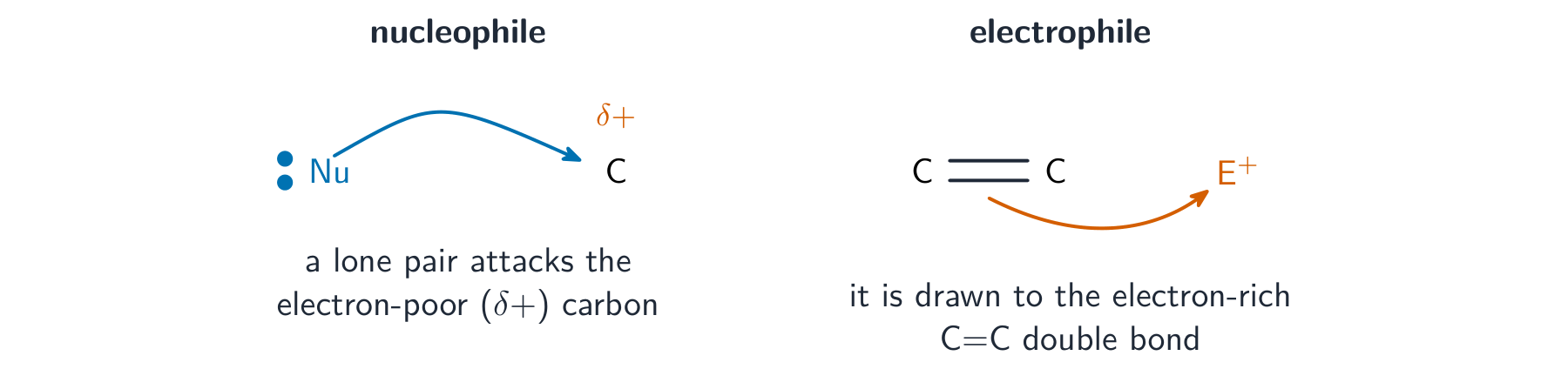 A nucleophile using its lone pair to attack a slightly positive carbon; an electrophile being drawn to a C=C double bond