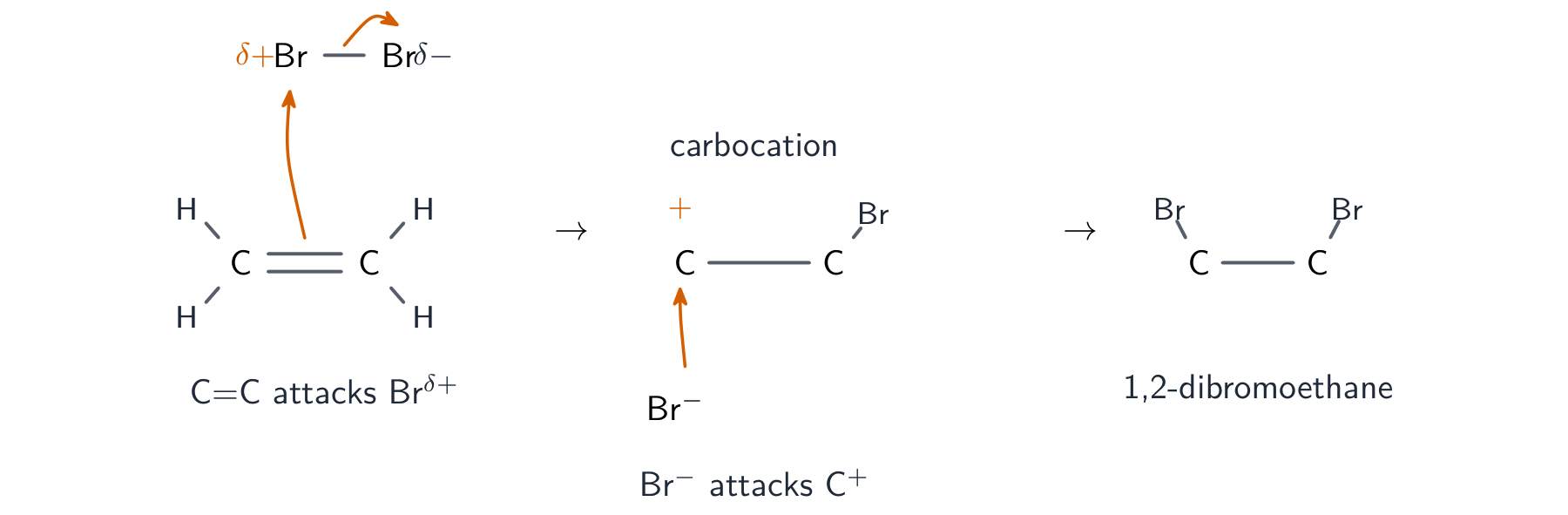 The mechanism of bromine adding to ethene: curly arrows show the C=C attacking one bromine, a carbocation forming, then bromide attacking it to give 1,2-dibromoethane