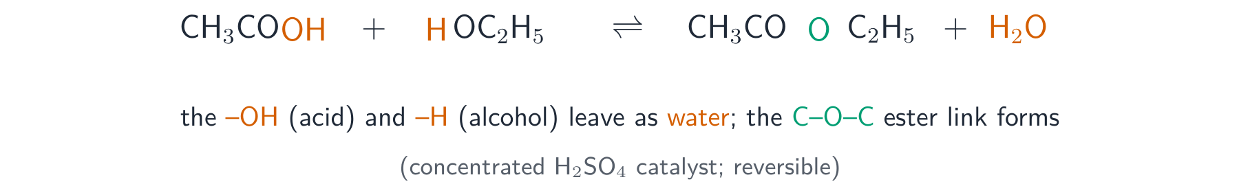 The esterification equation with the OH from the acid and the H from the alcohol highlighted as the atoms that leave as water, and the new ester oxygen link highlighted
