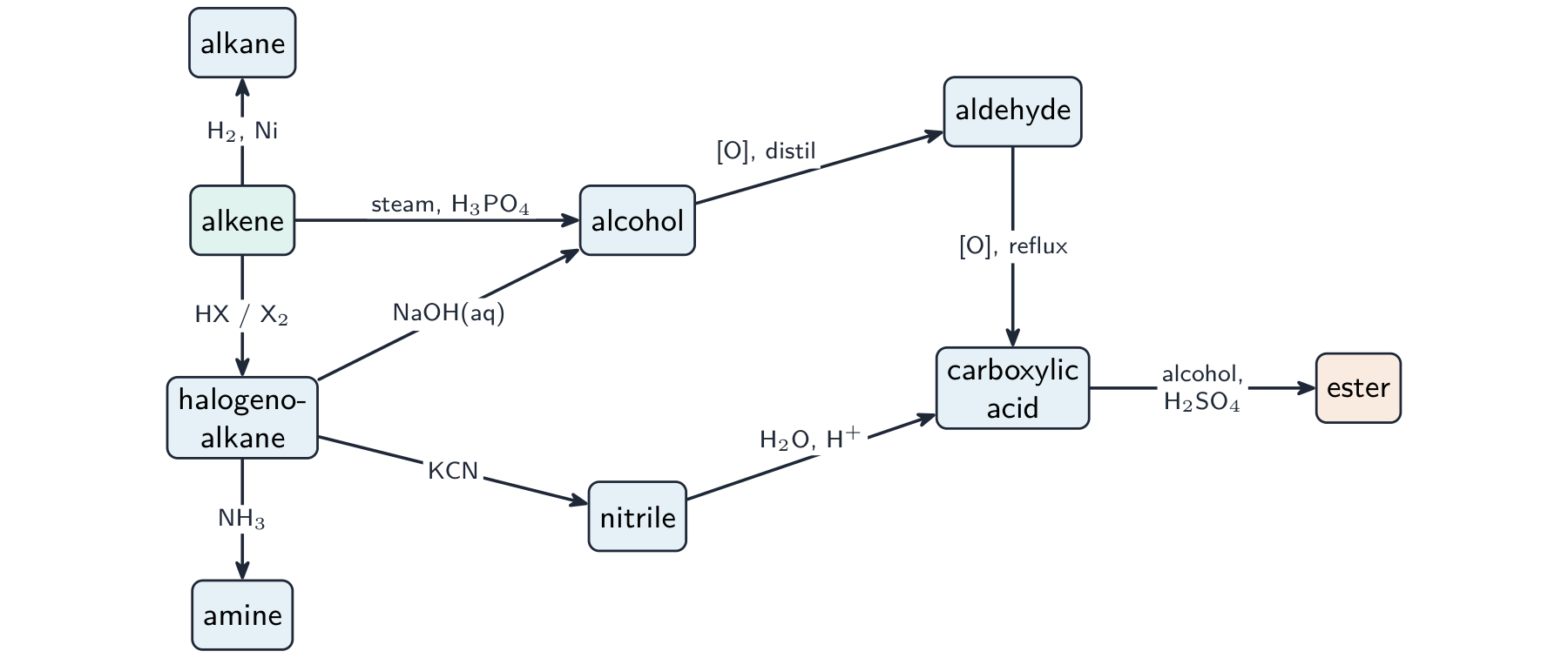 A network diagram linking alkene, alkane, halogenoalkane, alcohol, aldehyde, nitrile, amine, carboxylic acid and ester by labelled reagent arrows
