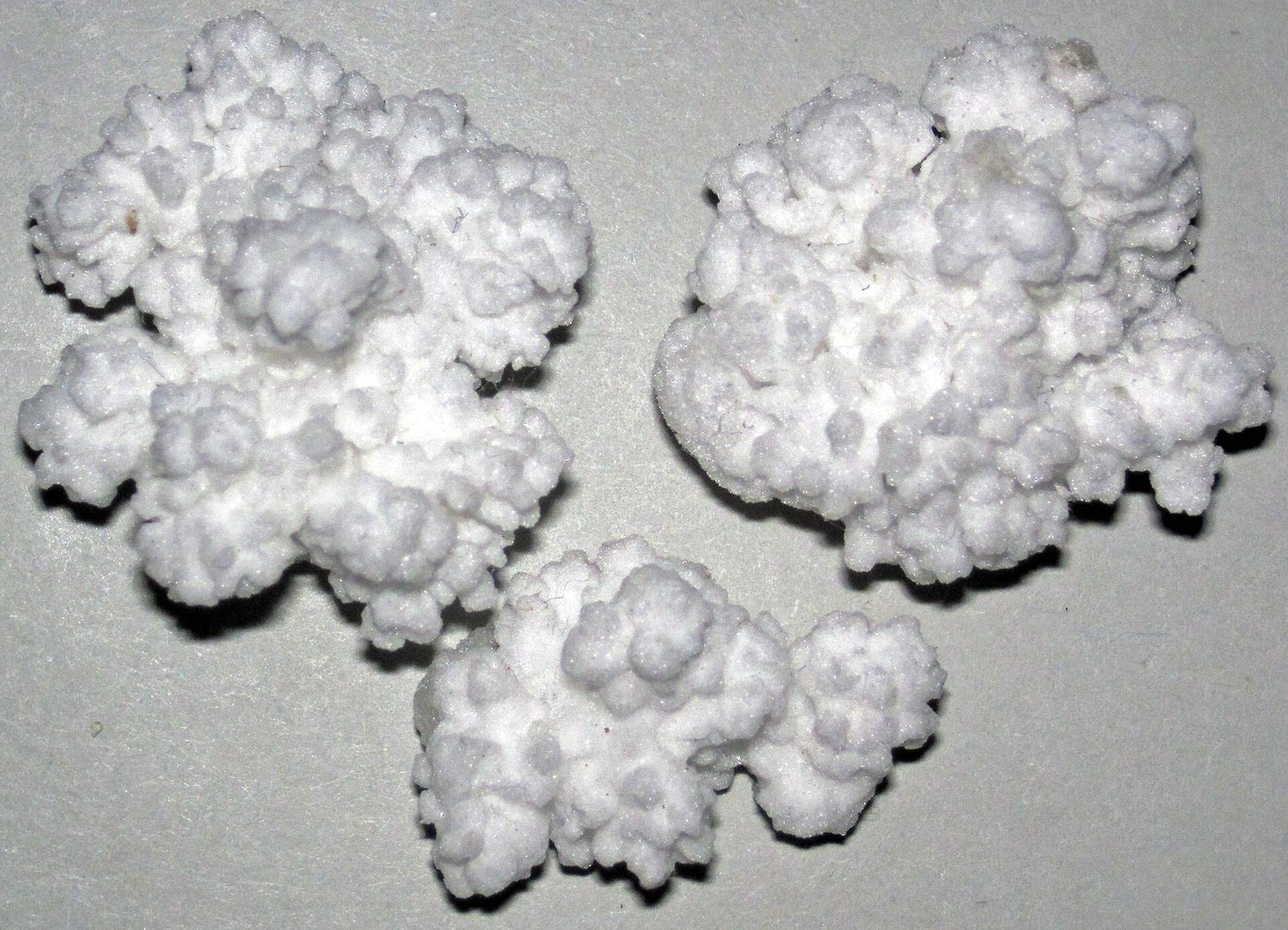 Clear cubic crystals of halite (rock salt)