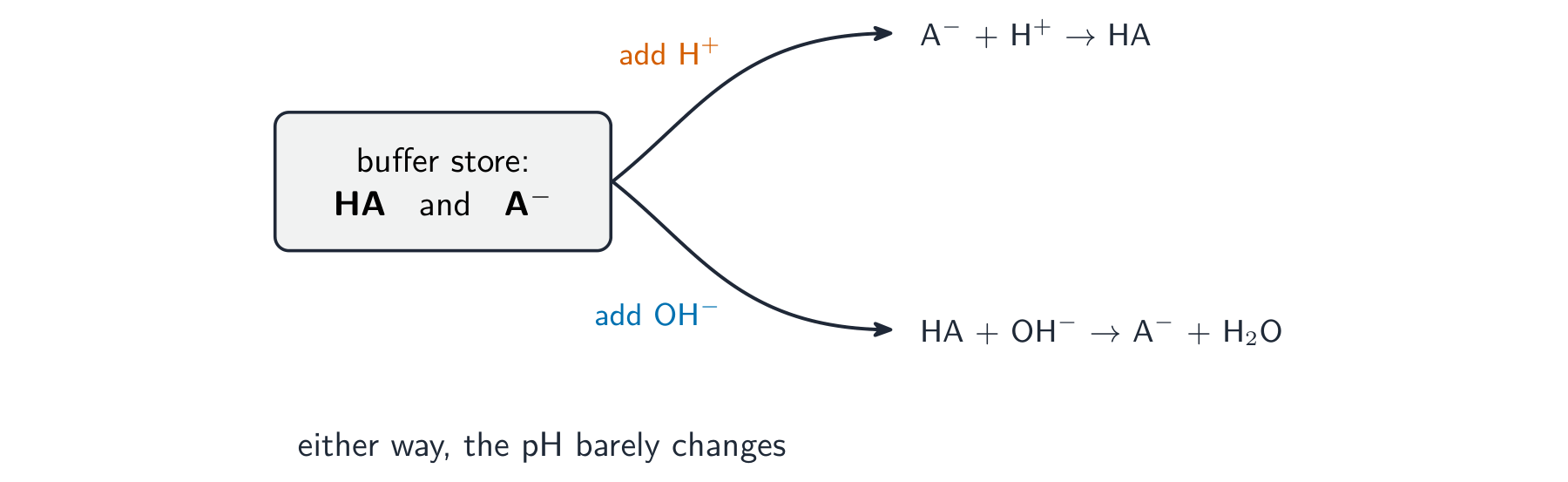 A buffer store of HA and A-, with added H+ removed by A- and added OH- removed by HA