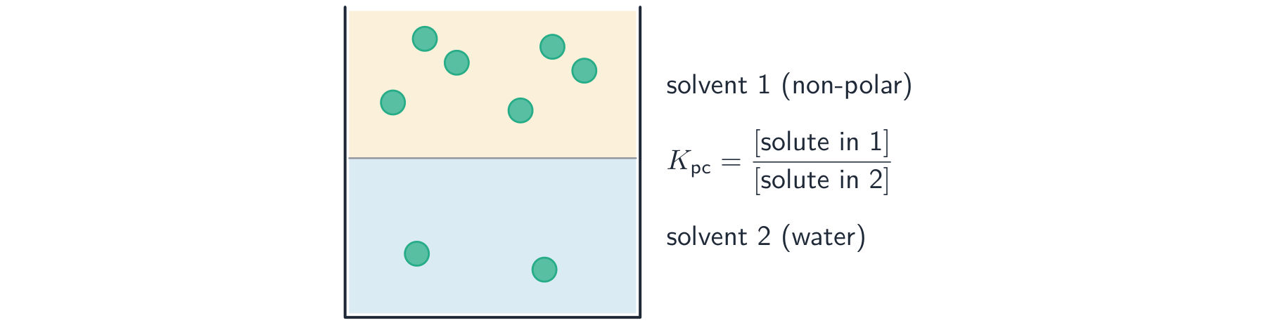 Two immiscible solvent layers with a solute spread between them, more in the non-polar top layer than the water below