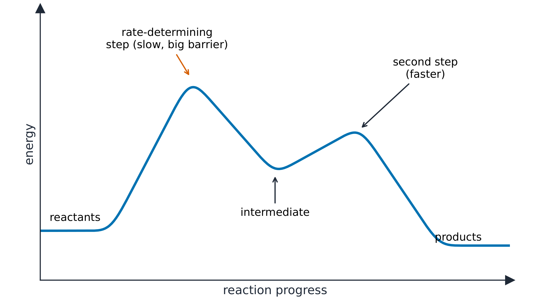 A reaction energy profile with two humps: a tall first barrier marked as the slow rate-determining step, a dip for the intermediate, then a smaller second barrier