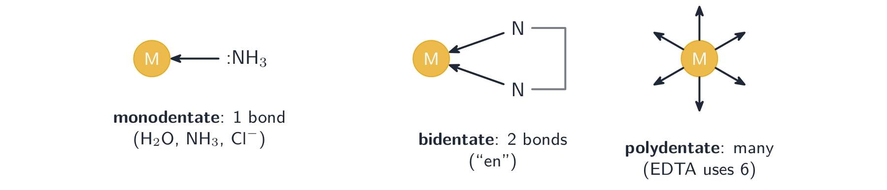 A metal ion with a monodentate ligand making one bond, a bidentate ligand making two bonds, and a polydentate ligand making six