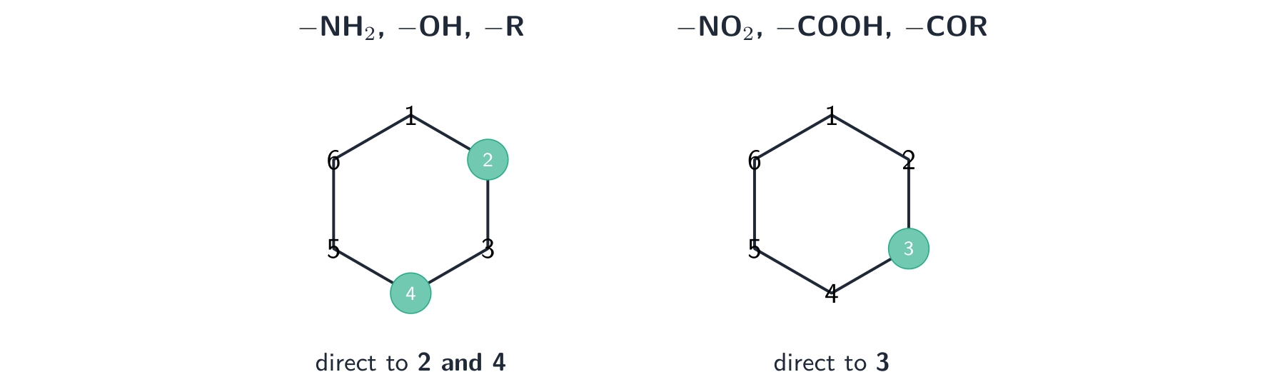 Two numbered benzene rings: one with positions 2 and 4 highlighted for amino, hydroxyl and alkyl groups, the other with position 3 highlighted for nitro, carboxyl and acyl groups