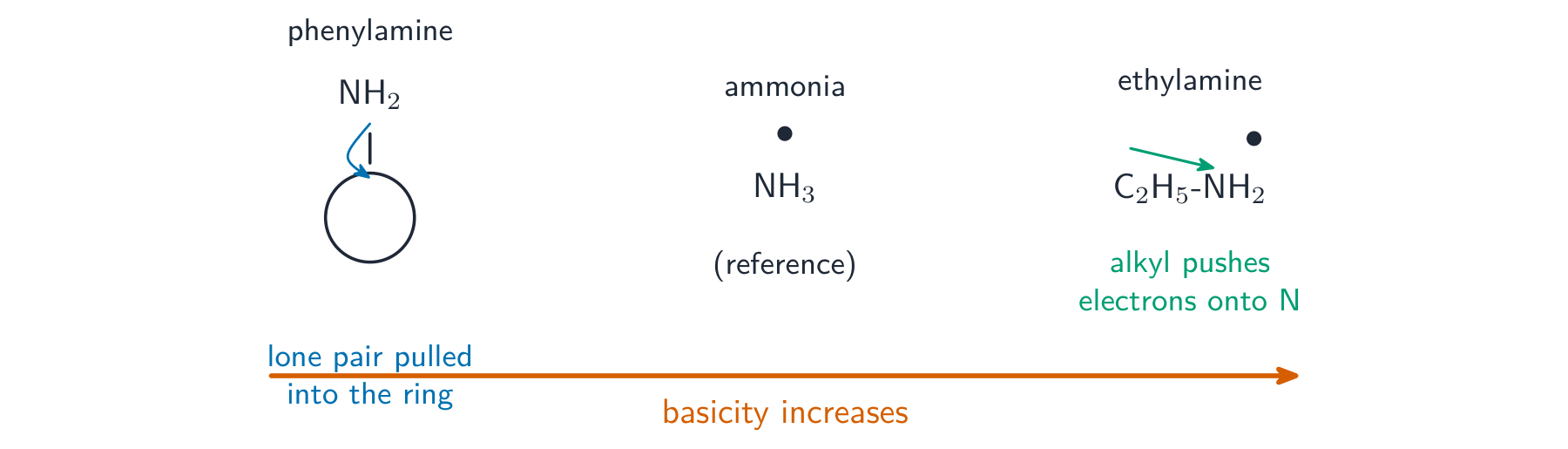 Phenylamine, ammonia and ethylamine along a basicity scale, with the ring pulling the lone pair away in phenylamine and the alkyl group pushing electrons in ethylamine