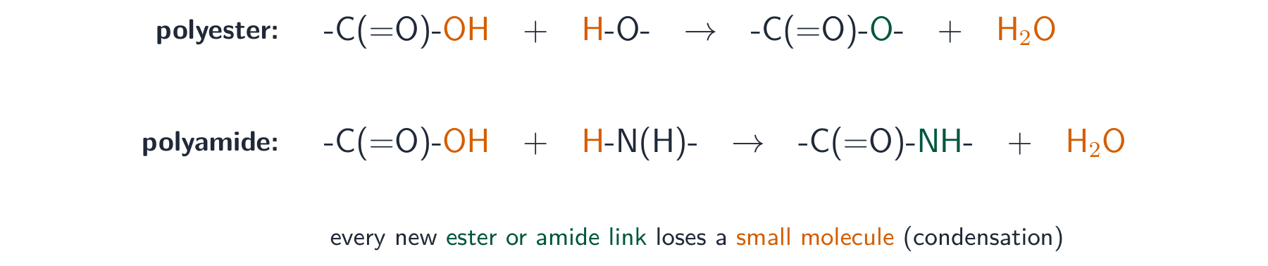 A carboxyl group joining a hydroxyl to form an ester link and a carboxyl joining an amine to form an amide link, each releasing a water molecule