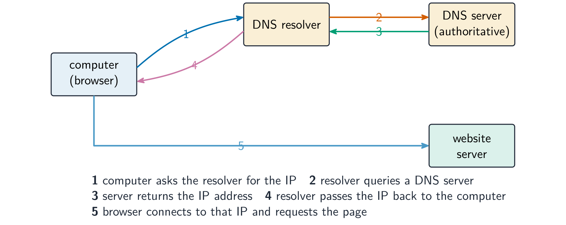 Numbered one to five: the computer asks a DNS resolver for the IP, the resolver queries another DNS server, the IP is returned to the resolver and then the computer, and the browser connects to the website server