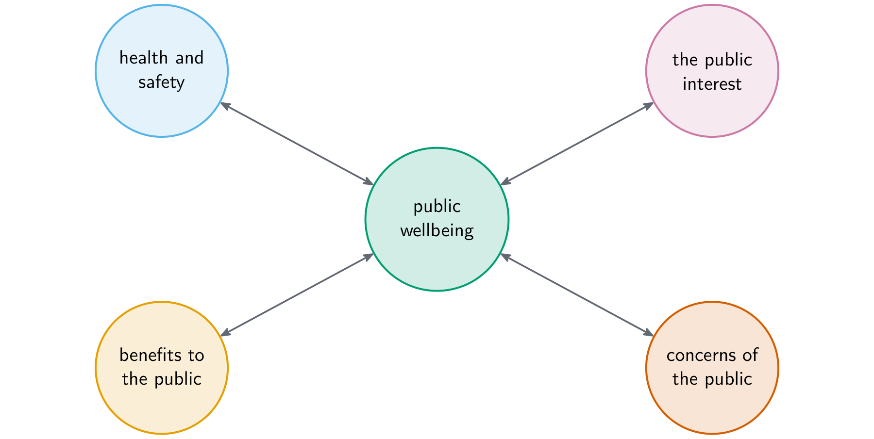 A hub diagram with public wellbeing at the centre, linked to health and safety concerns, the public interest, benefits to the public and concerns of the public