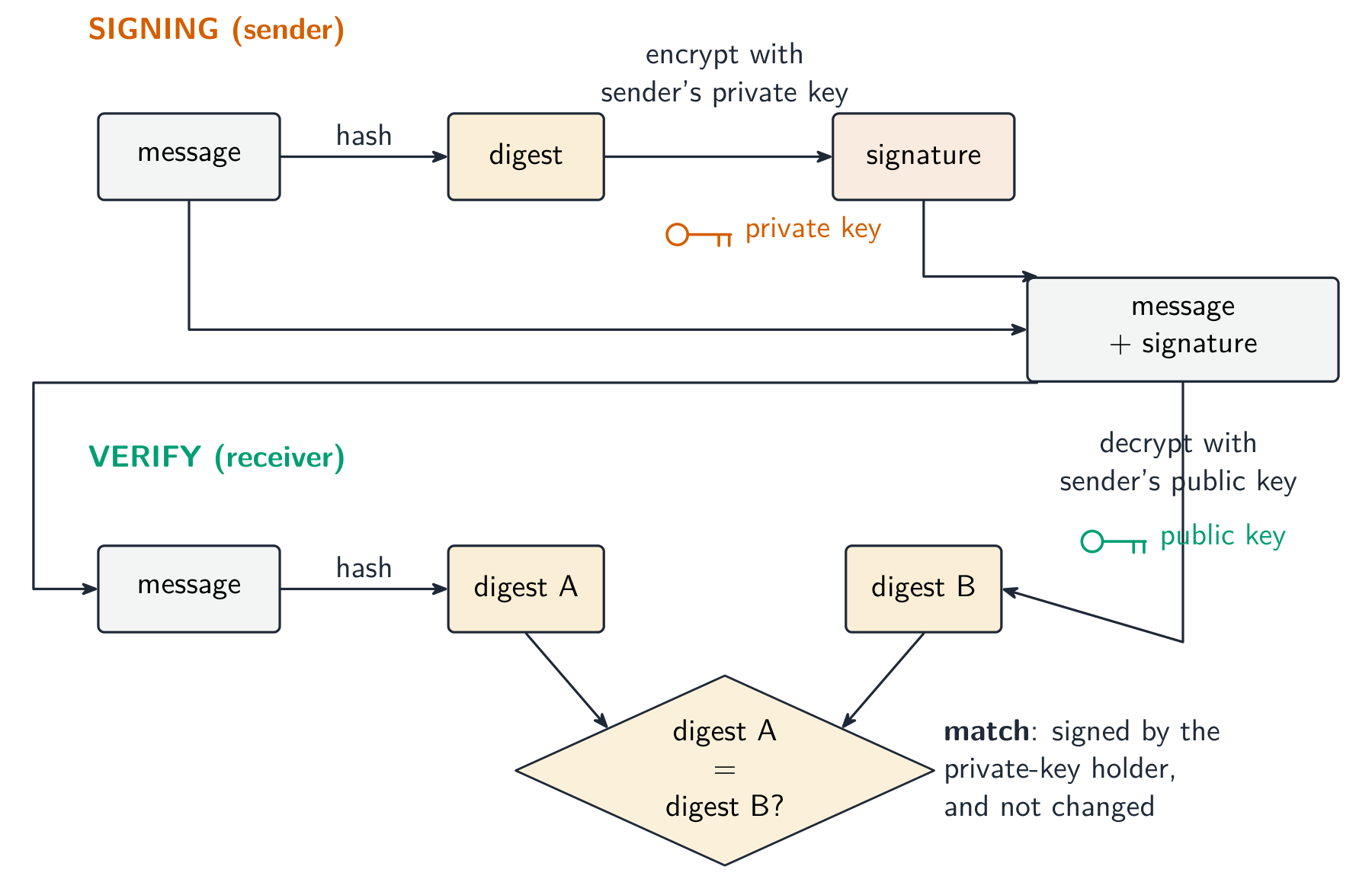 The sender hashes the message to a digest and encrypts it with their private key to form the signature; the receiver re-hashes the message and decrypts the signature with the sender's public key, then compares the two digests