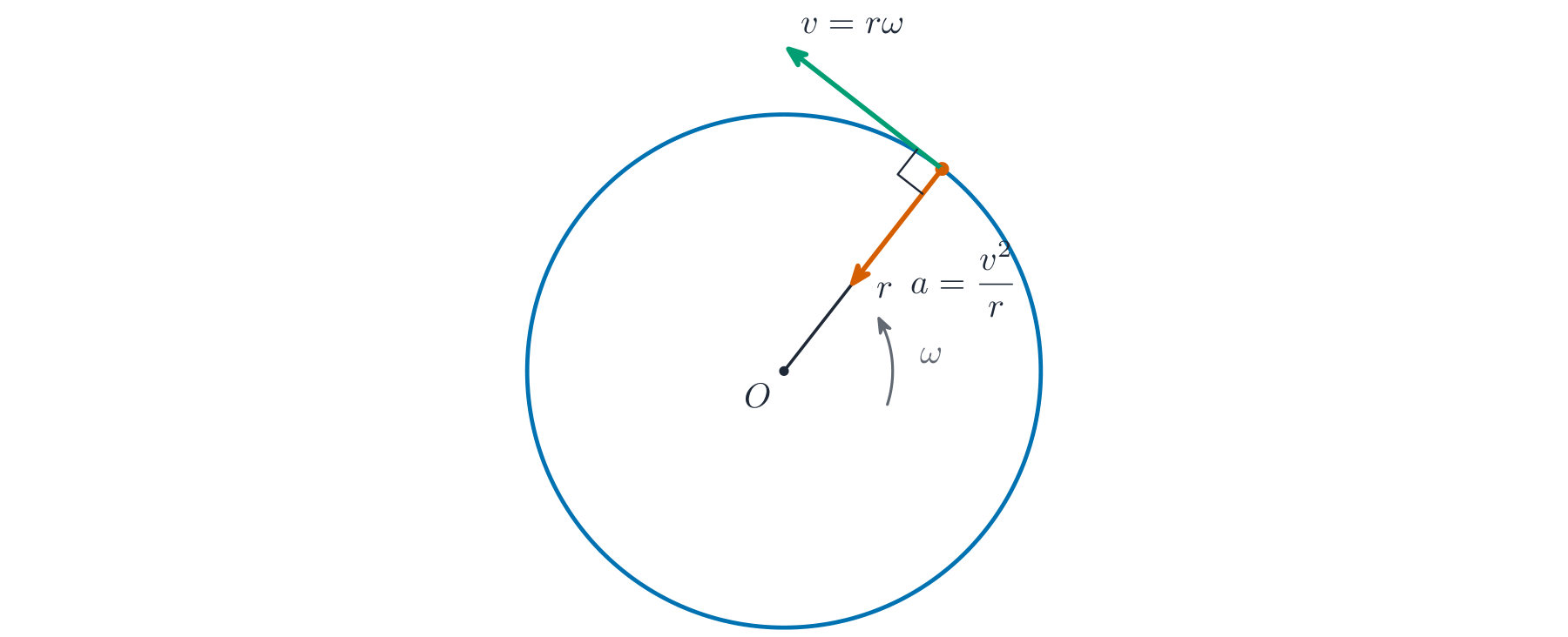 A particle on a circle with velocity along the tangent and acceleration toward the centre