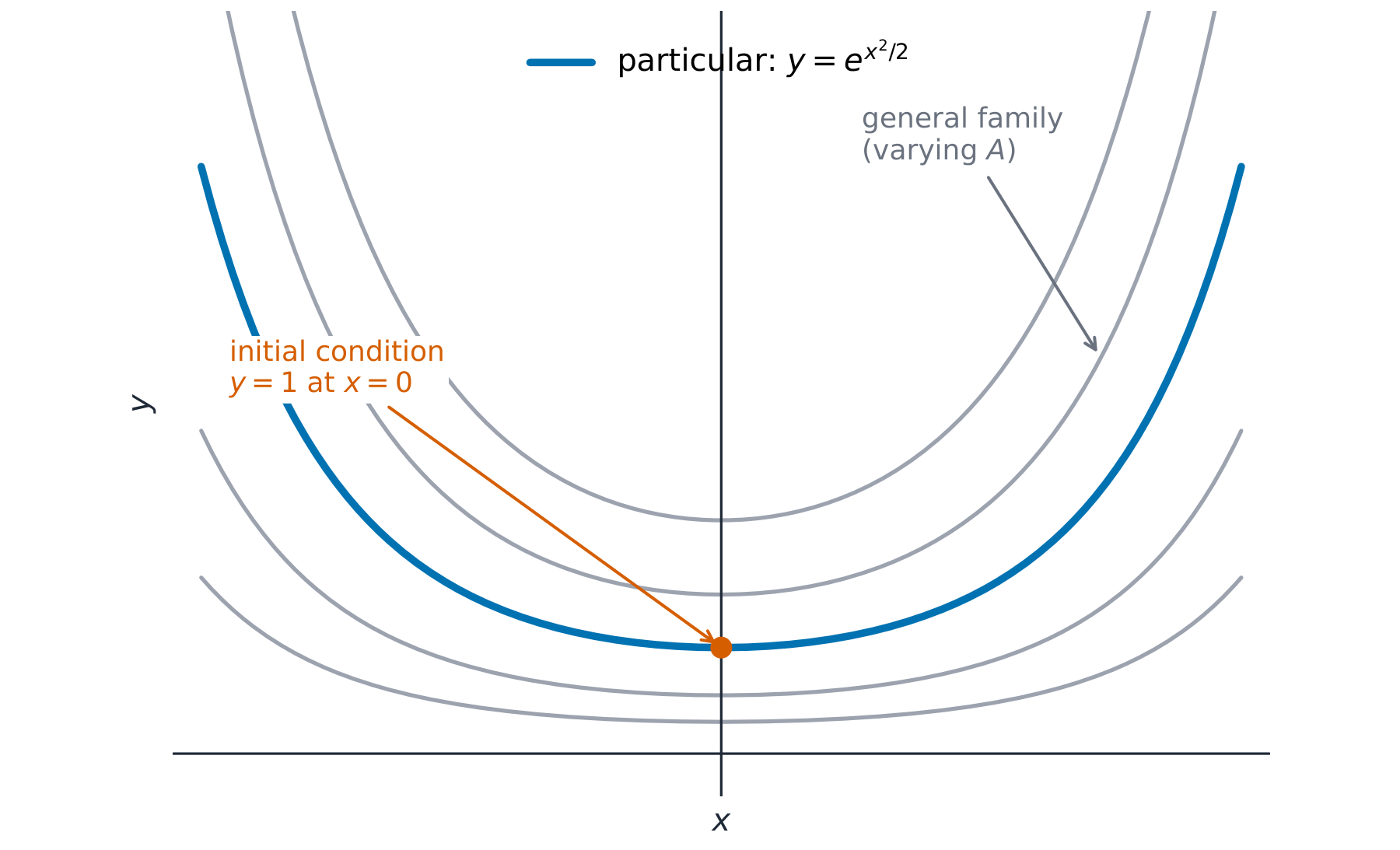 A family of curves for different constants, with one curve passing through (0, 1) highlighted