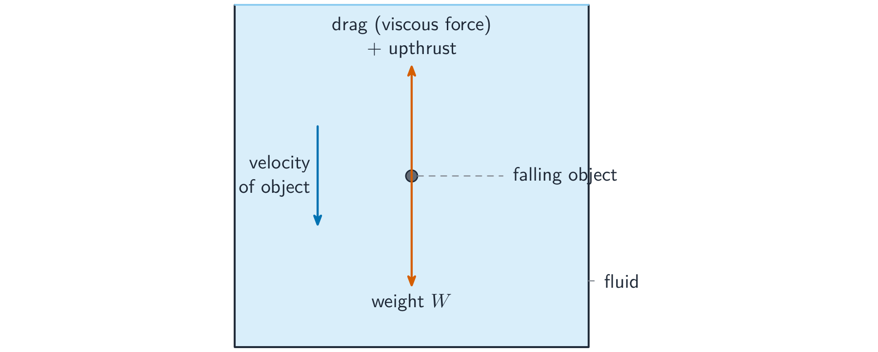 An object falling through a fluid with drag (viscous force) plus upthrust acting upward and weight acting downward, and a velocity arrow pointing down