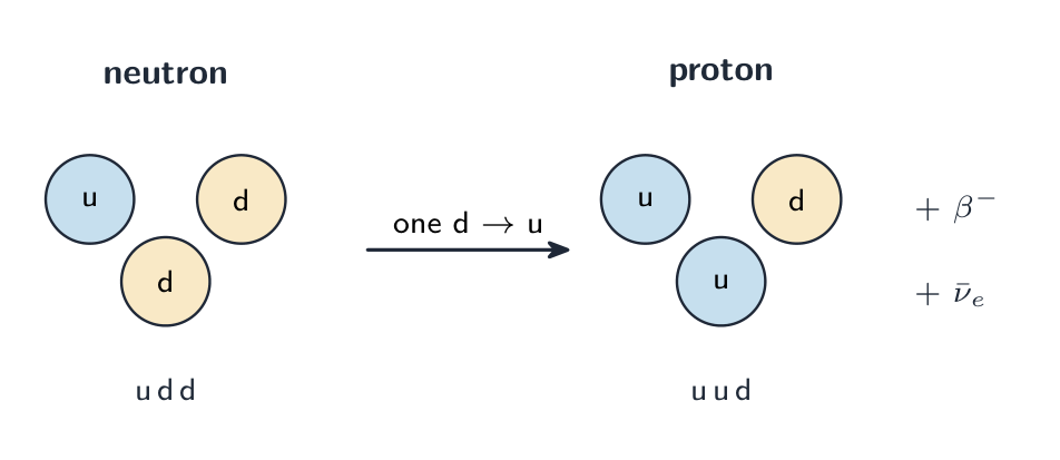 Beta-minus decay at the quark level: a neutron (u d d) becomes a proton (u u d) as one down quark turns into an up quark, emitting a beta-minus particle and an electron antineutrino
