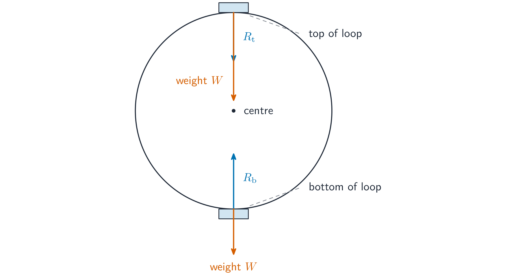 An object on a circular ride drawn at the top and bottom of the loop; at the top the weight W and normal contact force R_t both point down, at the bottom the normal contact force R_b points up and the weight W points down
