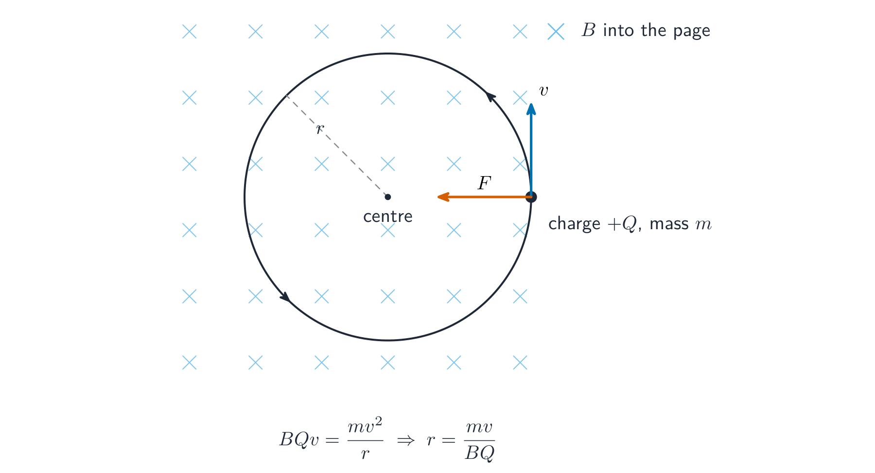 A positive charge in a uniform magnetic field into the page follows a circular path, with the magnetic force always pointing to the centre