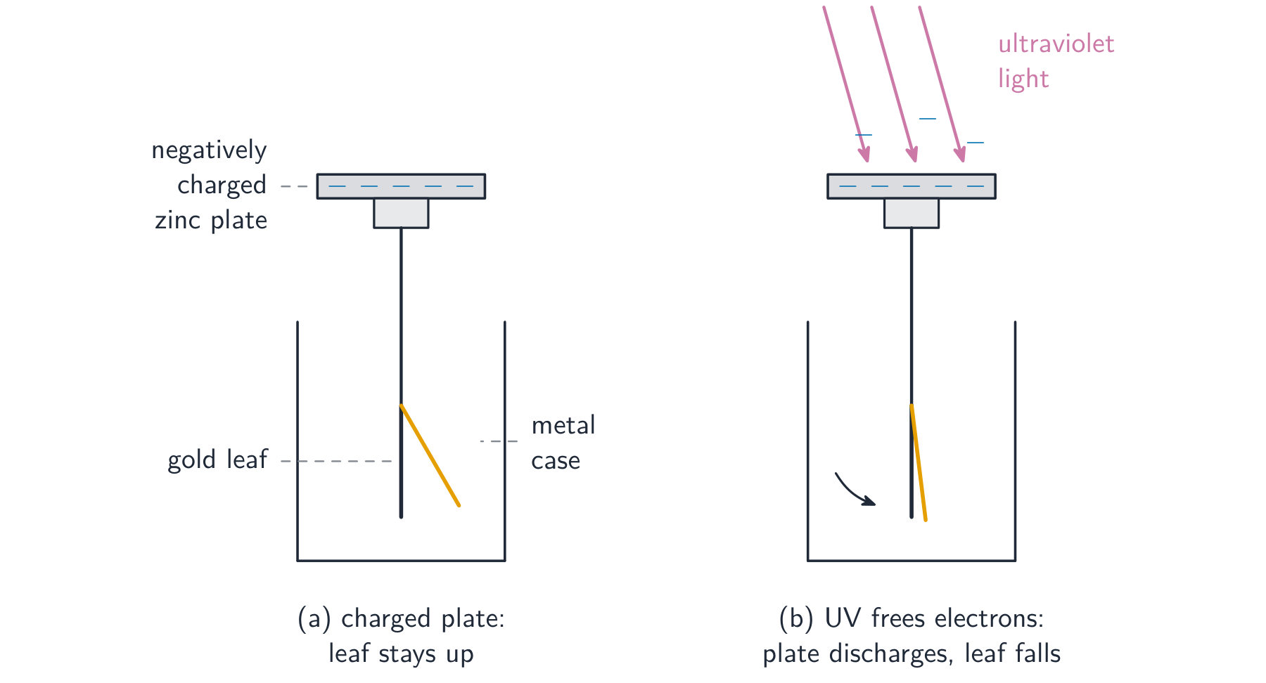 Two gold-leaf electroscopes carrying a negatively charged zinc plate: in the first the gold leaf stays deflected; in the second, ultraviolet light shining on the plate makes the leaf fall as charge is lost