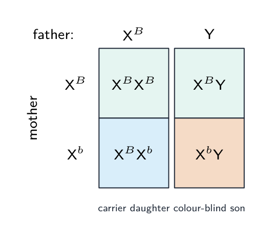 Sex linkage gives different results for sons and daughters