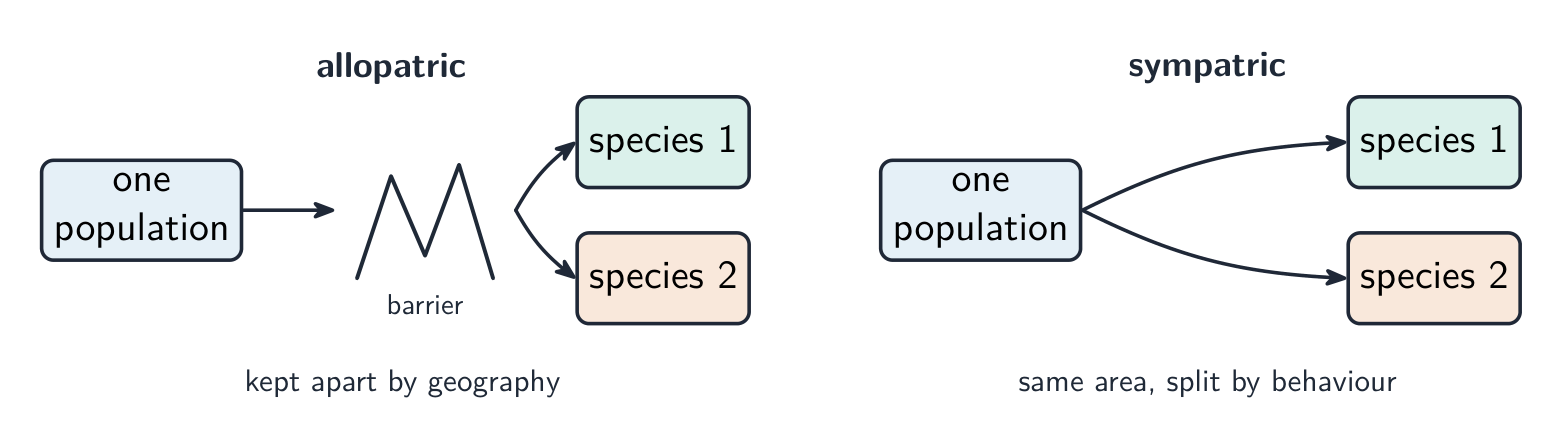 Allopatric and sympatric speciation