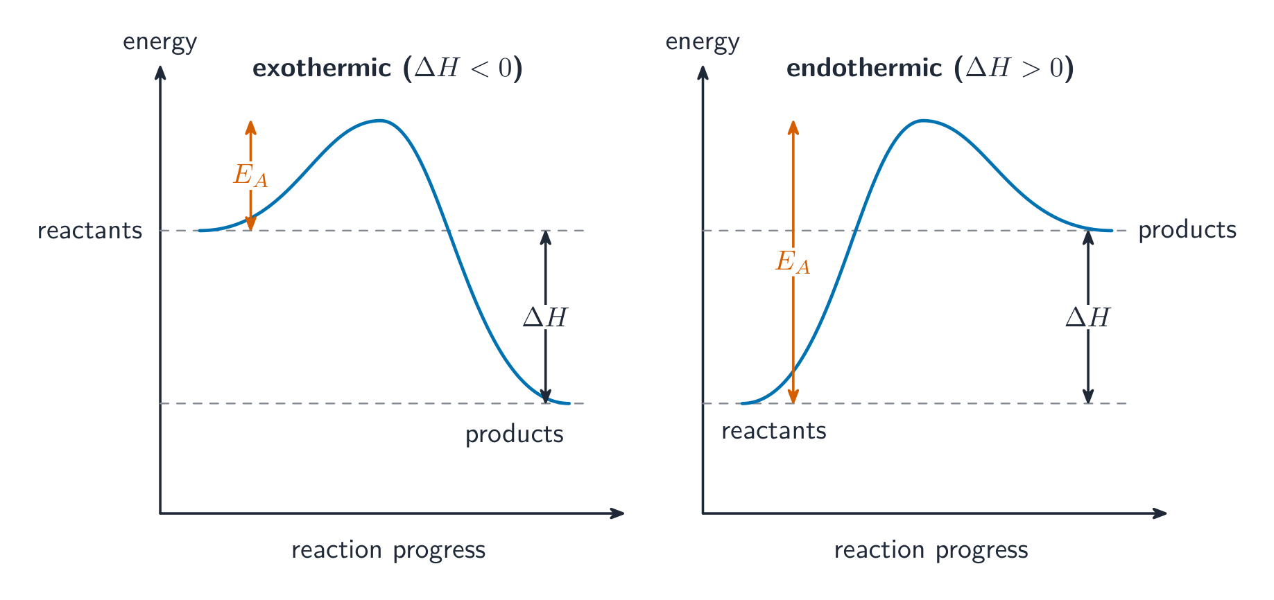 Energy diagrams: exothermic products sit below the reactants, endothermic above