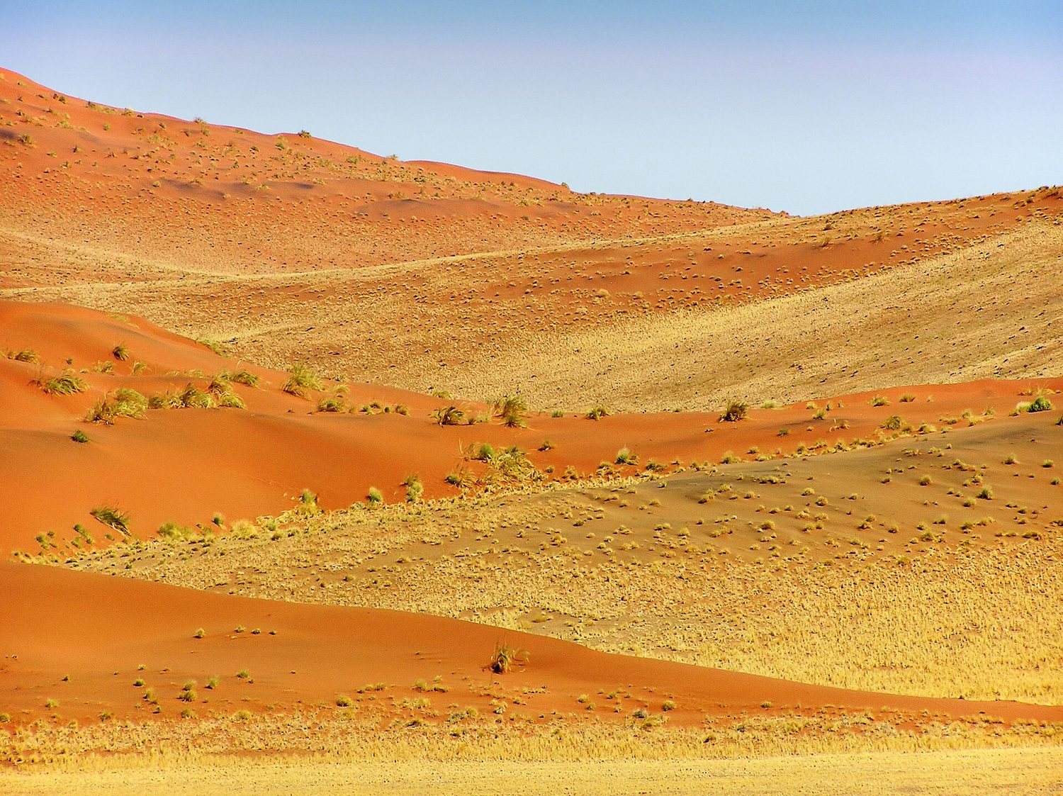 A dry desert of bare sand dunes with almost no plants