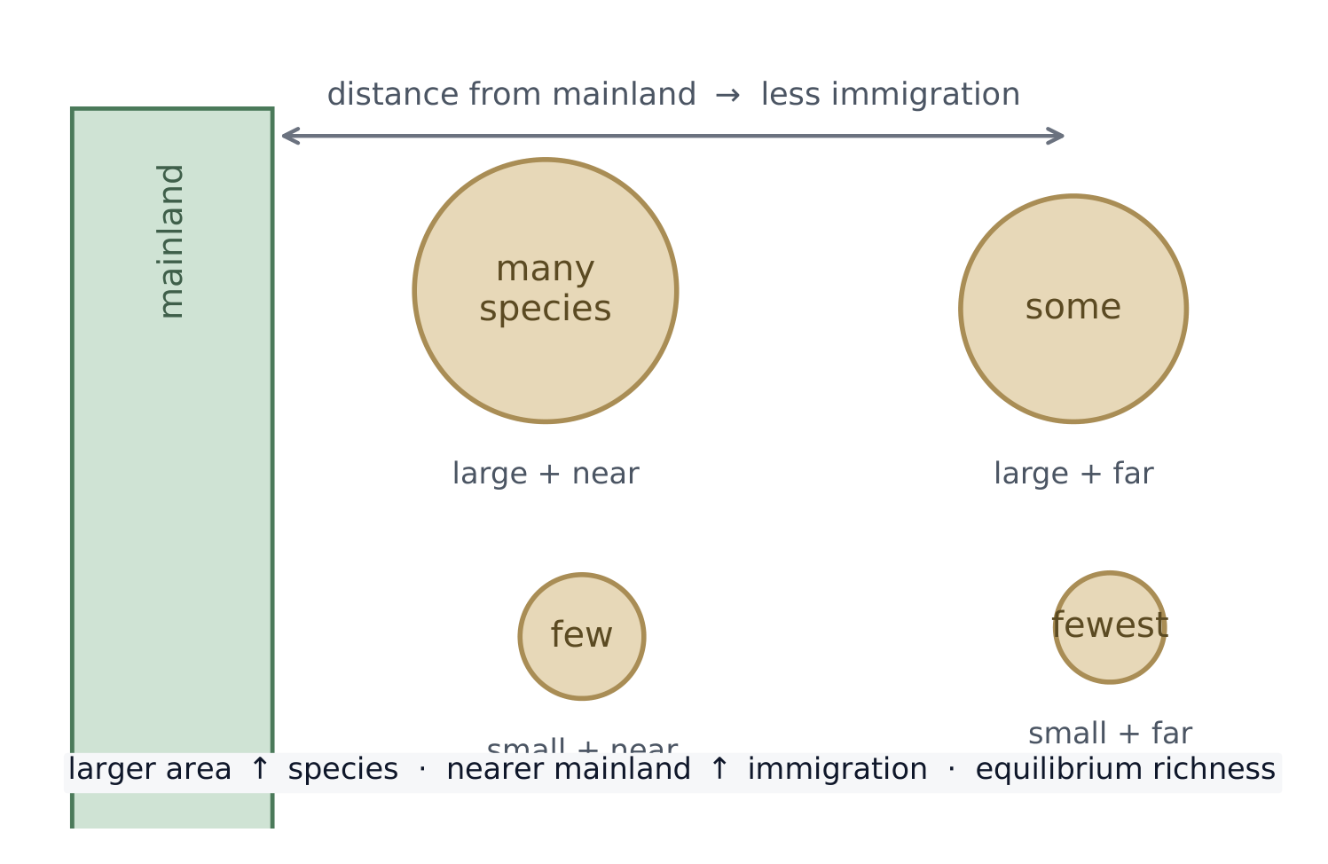 Larger and nearer islands hold more species, balancing immigration against extinction