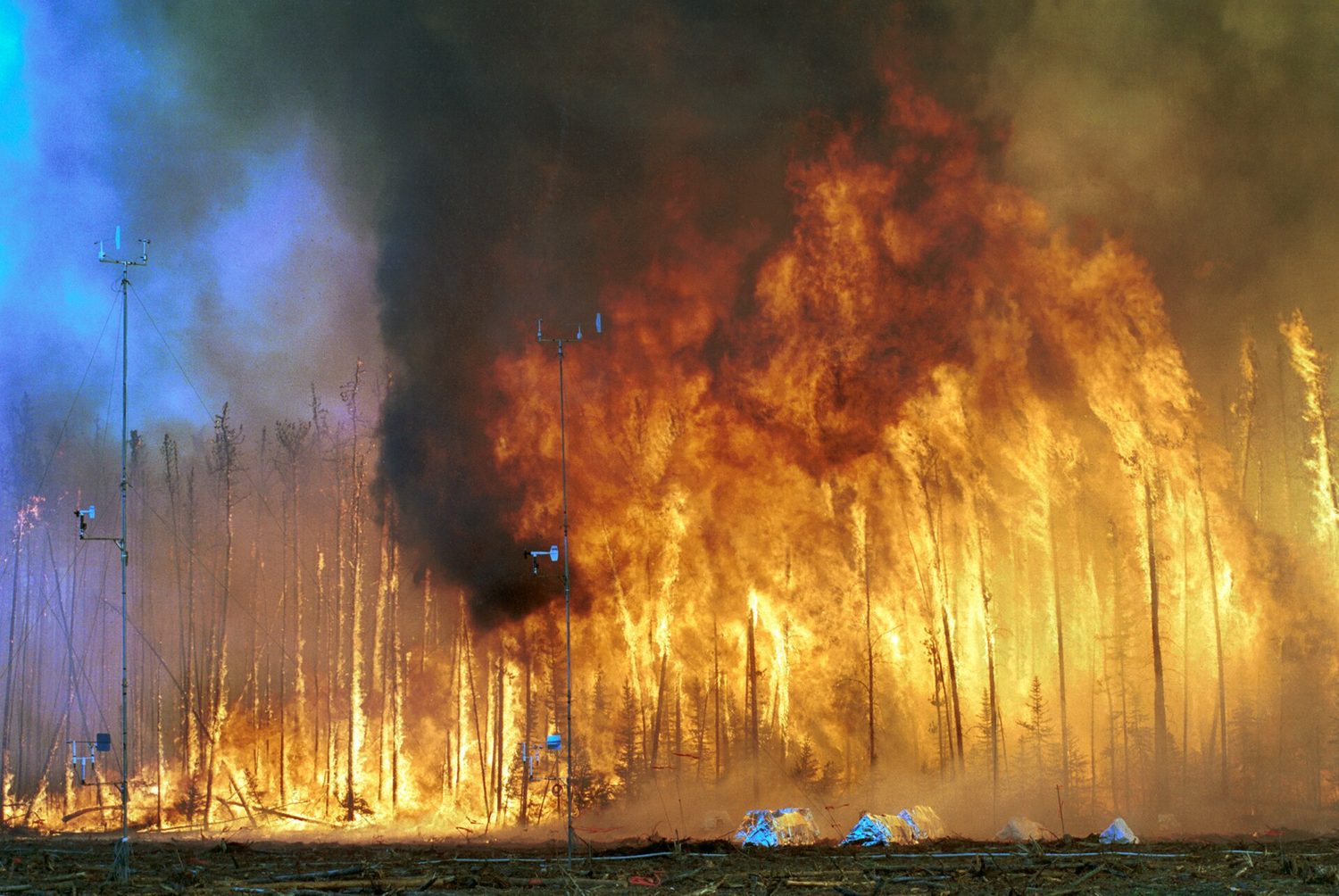A wall of flame and smoke racing through the tops of a conifer forest