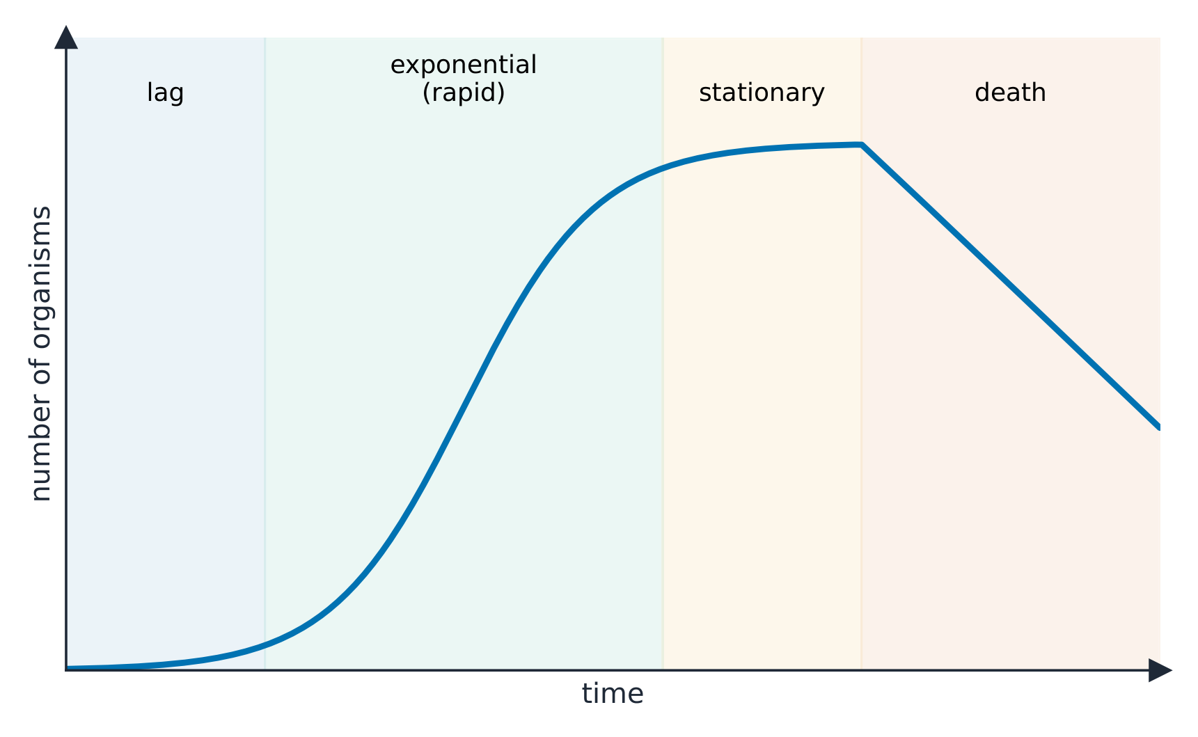 Population growth levels off at the carrying capacity of the environment