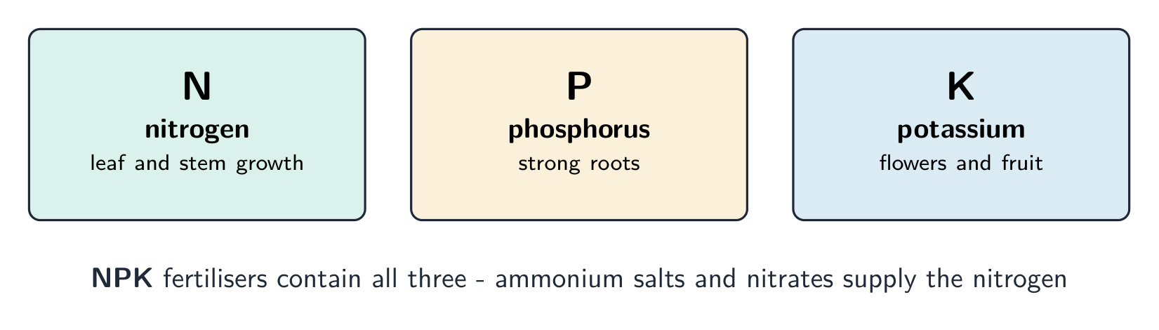 NPK fertilisers supply the three elements plants need most