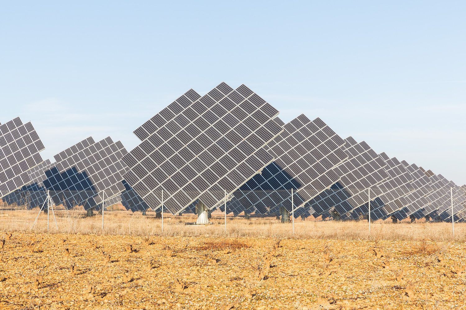 A large field covered in rows of tilted solar panels under a blue sky