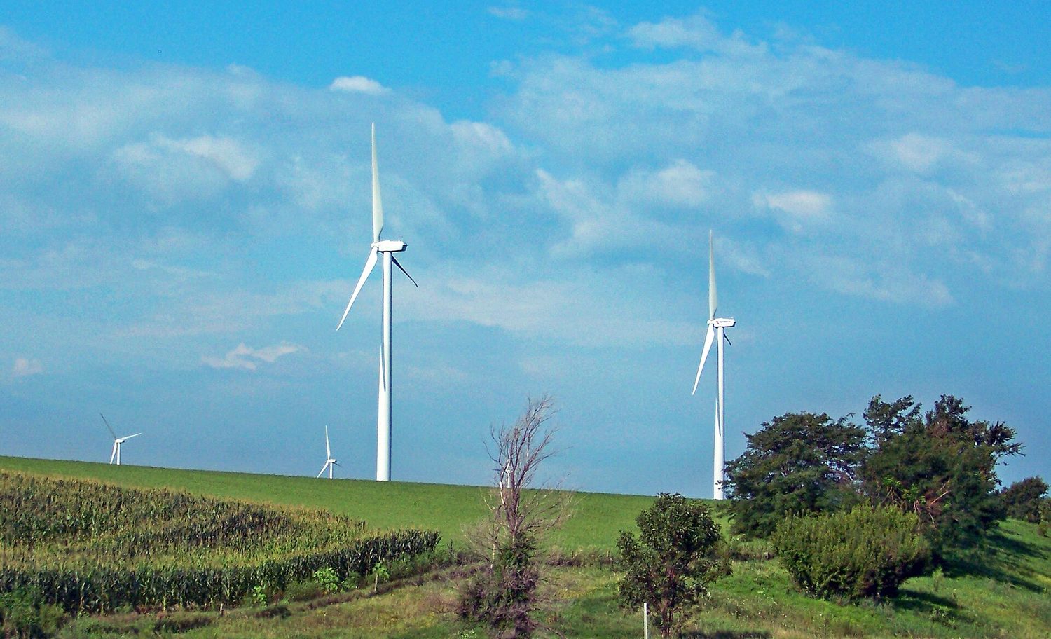 A wind farm: public investment in capital can raise long-run economic growth