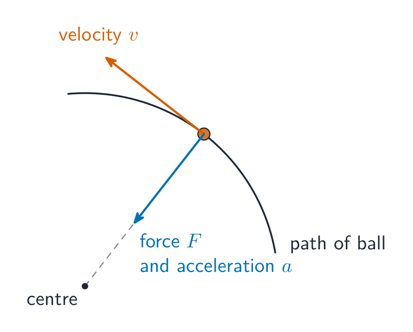 The velocity points along the tangent; the centripetal force and acceleration point to the centre