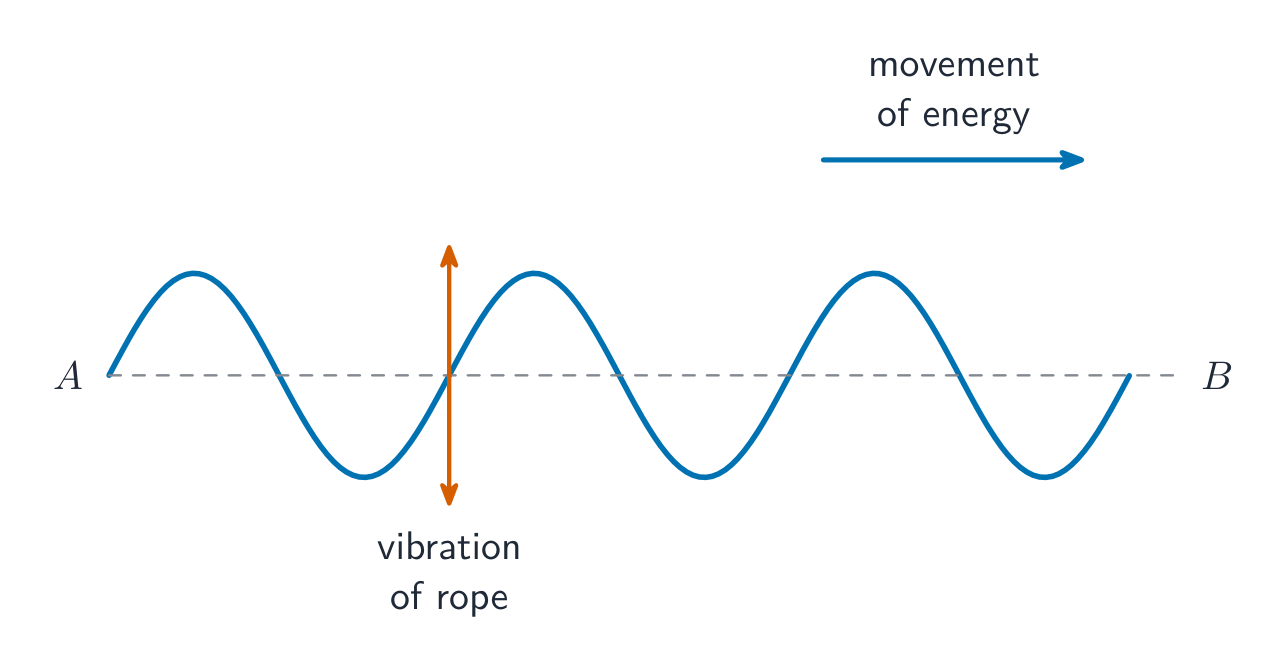 A transverse wave: the medium moves at right angles to the wave's travel