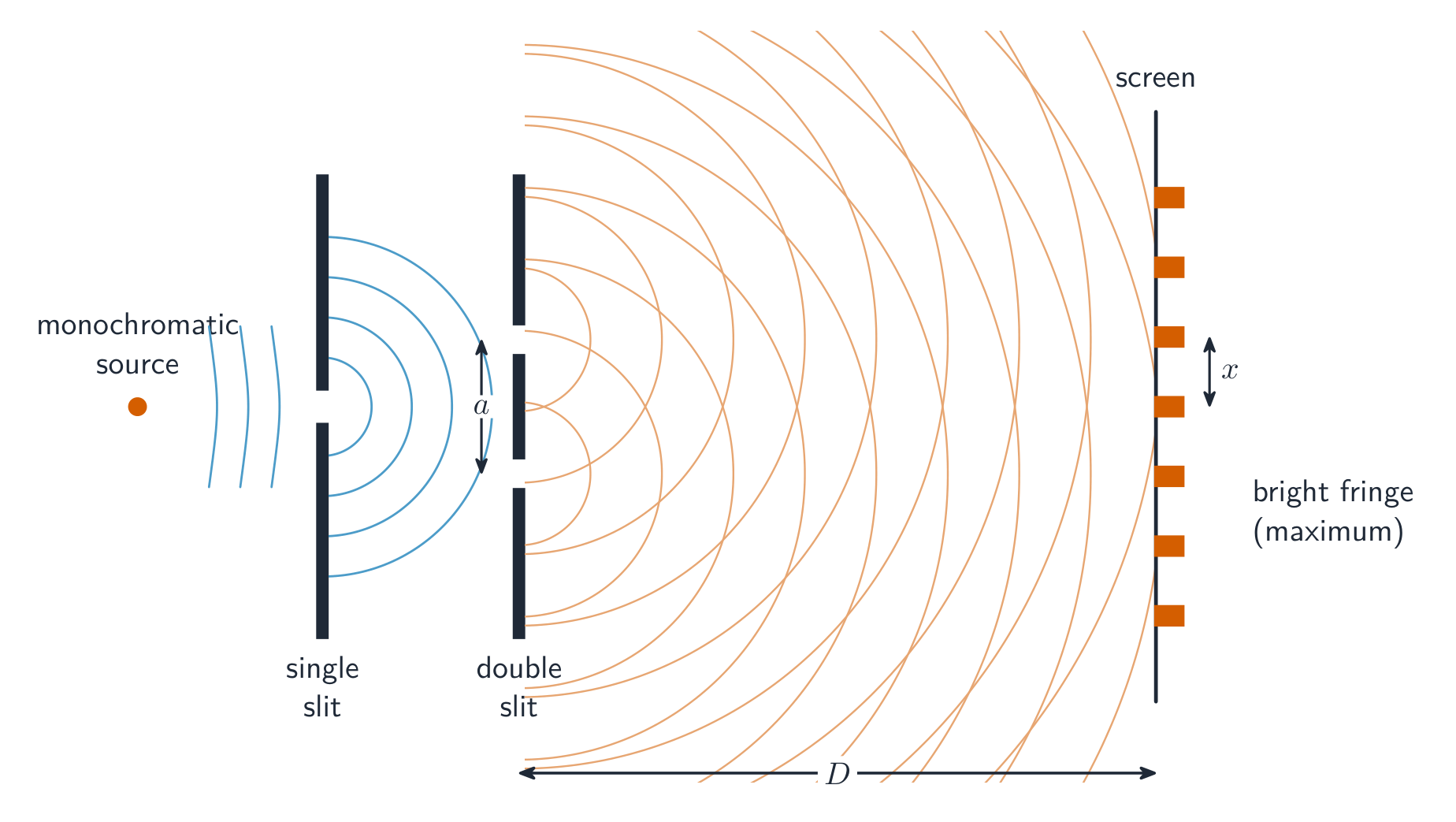 Young's double slits give an interference pattern of bright and dark fringes