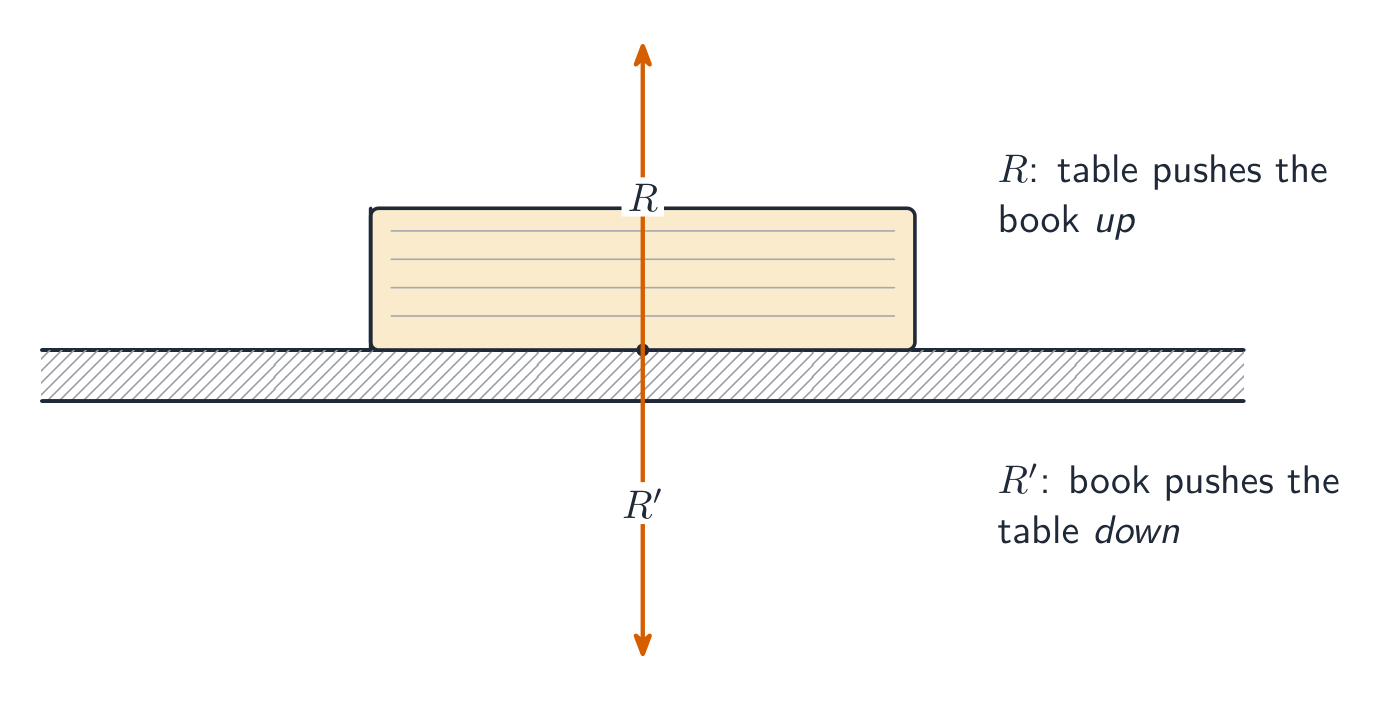 A Newton's third-law pair: equal and opposite forces on two different objects