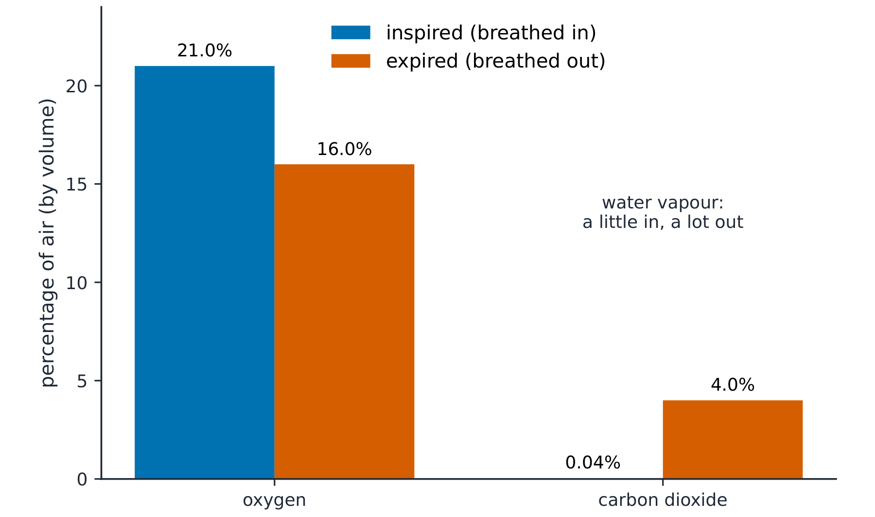A bar chart comparing inspired and expired air: oxygen falls from 21% to 16%, carbon dioxide rises from 0.04% to 4%, and water vapour rises from a little to a lot
