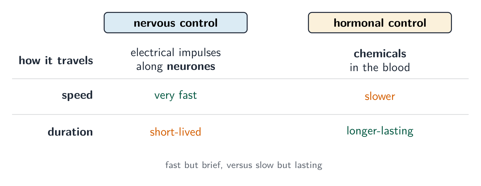 Nervous control travels as electrical impulses along neurones, is very fast and short-lived; hormonal control travels as chemicals in the blood, is slower and longer-lasting
