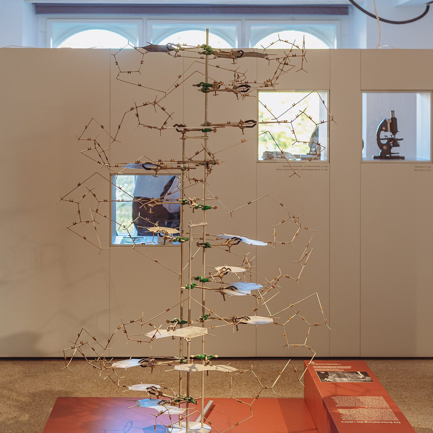 A model of the DNA double helix
