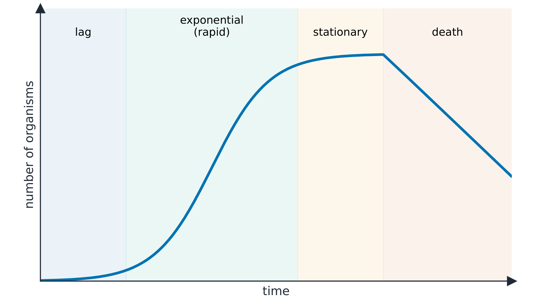 An S-shaped population growth curve over time, with four phases marked: a slow lag phase, a fast exponential phase, a level stationary phase, and a falling death phase